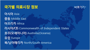 국가별 의료시장 정보 - 아시아, 중동, 아프리카, 러시아/CIS, 호주(오세아니아), 유럽, 북/남아메리카