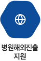 병원해외진출 지원