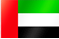 UAE 국기