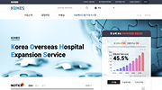 의료기관 해외진출정보
