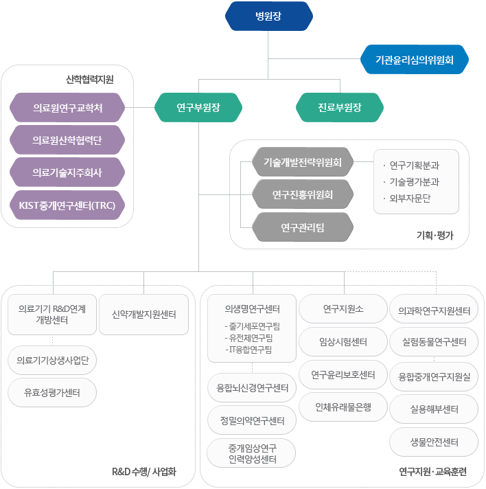 고려대학교 안암병원 연구조직