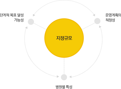 지정규모 : 단계적 목표 달성 가능성, 운영계획의 적정성, 병원별 특성