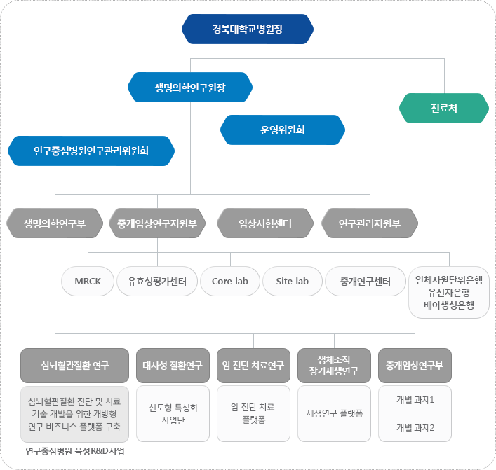 경북대학교병원장, 생명의학연구원장, 진료처, 운영위원회, 연구중심병원연구관리위원회