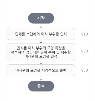 시작 → S10(인체를 스캔하여 이식 부위를 인식) → S30(인식된 이식 부위의 모양 특성을 분석하여 맵핑되는 공여 부위 및 채취할 이식편의 모양을 결정) → S50(이식편의 모양을 시각적으로 출력) → 종료