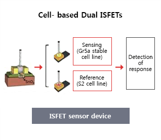 Cell- based Dual ISFETs : Sensing(Gr5a stable cell line), Reference(S2 cell line) → Detection of response, Plasmid DNA contains the gene of interest(Gr5a)