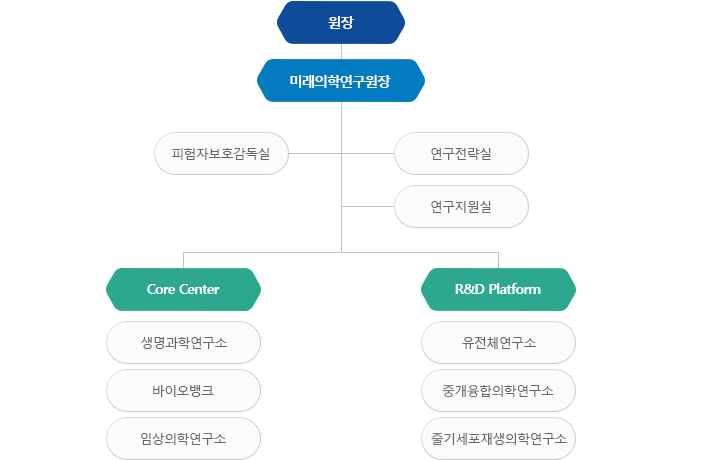 일반사항 일반사항