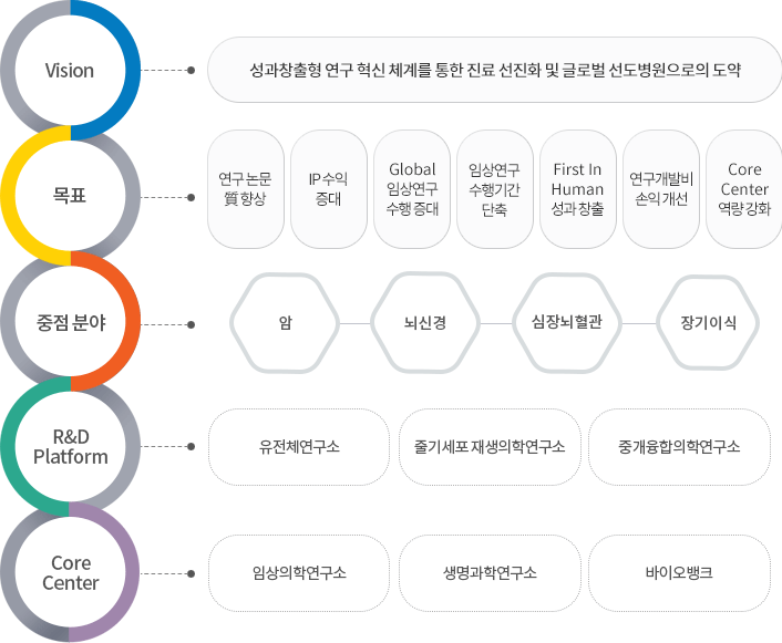 vision - 성과창출형 연구 혁신 체계를 통한 진료 선진화 및 글로벌 선도병원으로의 도약 / 목표 - 연구 논문質 향상 / 중점분야 - 암, 뇌신경, 심장뇌혈관, 장기이식 / R&D Platform - 유전체연구소, 줄기세포재생의학연구소, 중개융합의학연구소 / Core Center - 임상의학연구소, 생명과학연구소, 바이오뱅크