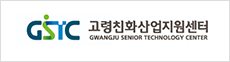 GSTC 고령친화산업지원센터